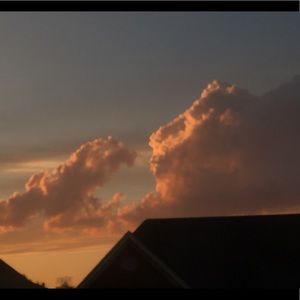 Meet your Posher, Rose